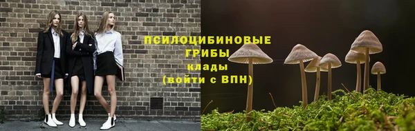 хмурый Медногорск