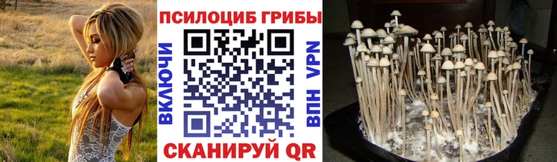 Галлюциногенные грибы мухоморы купить наркотики цена Курган