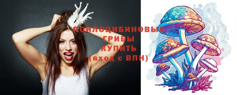 Псилоцибиновые грибы Psilocybe Курган