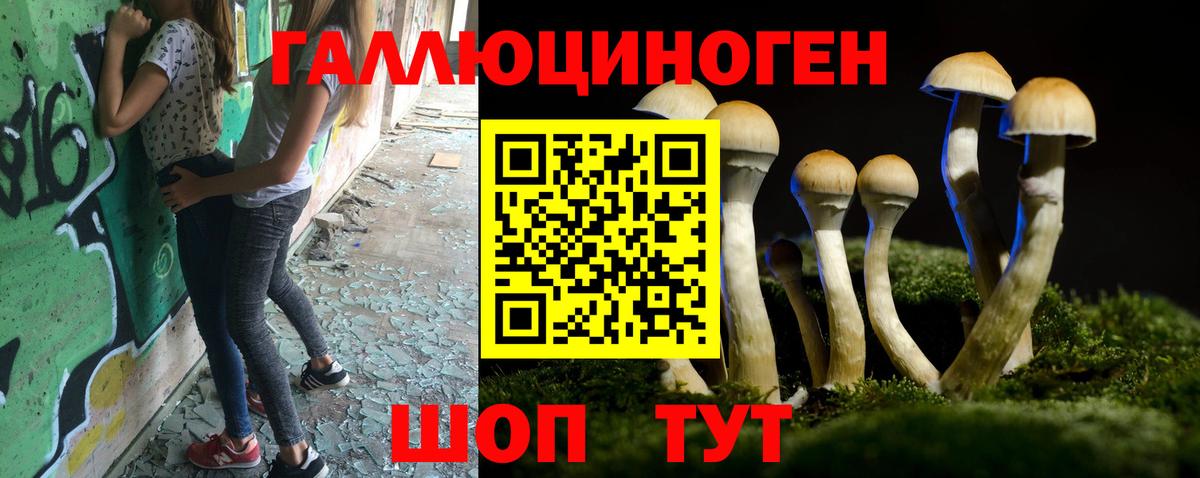 наркота  Курган  Галлюциногенные грибы мухоморы 