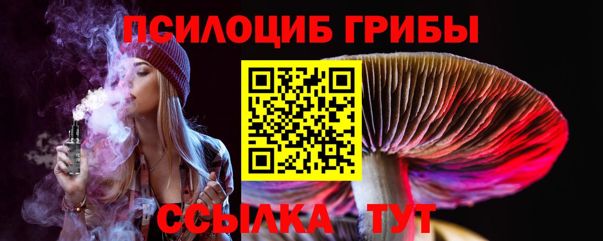 Псилоцибиновые грибы Cubensis  Вход с VPN  Курган  Псилоцибиновые грибы Psilocybe 