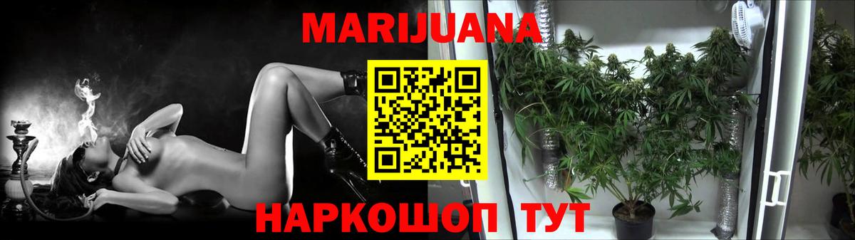 МАРИХУАНА конопля  Бошки марихуана планчик  Курган  Вход с VPN  Каннабис AK-47  Конопля сатива 